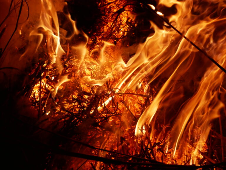 Wildfire burning dry grass and vegetation at night, illustrating the devastation caused by recent wildfires in Los Angeles County. The image highlights the urgency of the insurance moratorium protecting homeowners from policy cancellations in affected areas